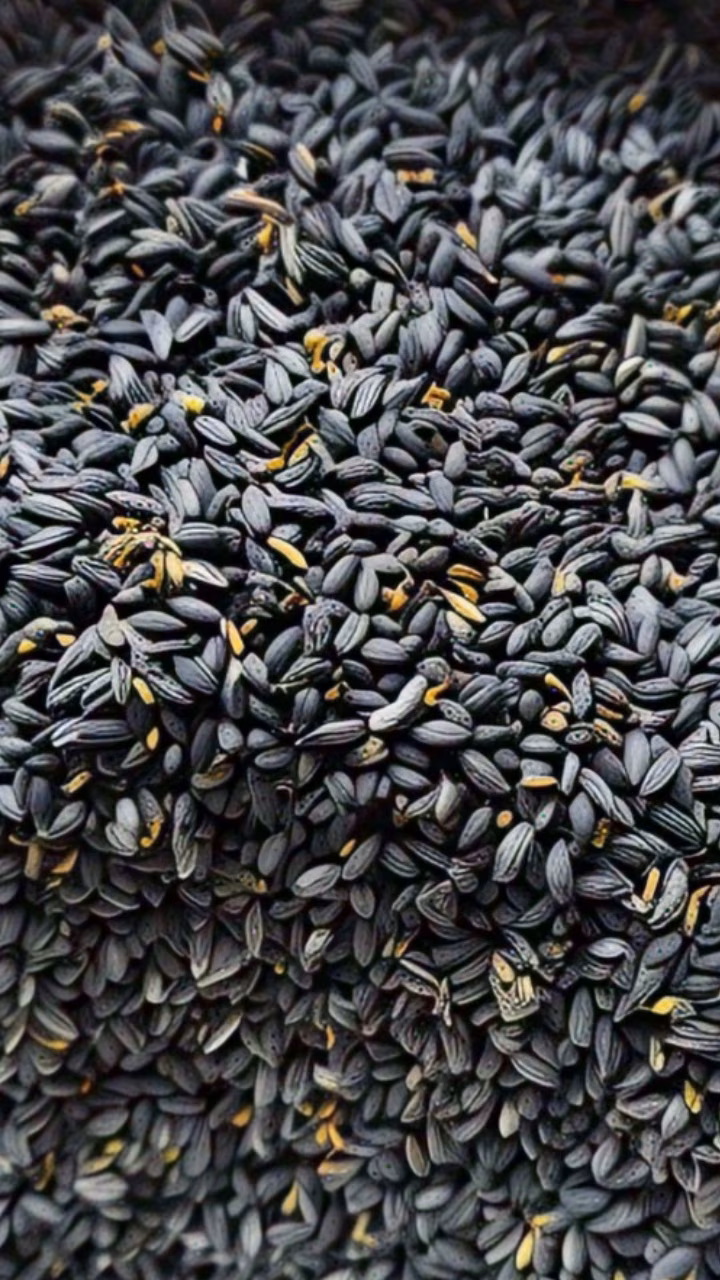 Nigella Seed (Kalonji)